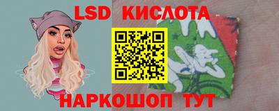прущие грибы Малоярославец