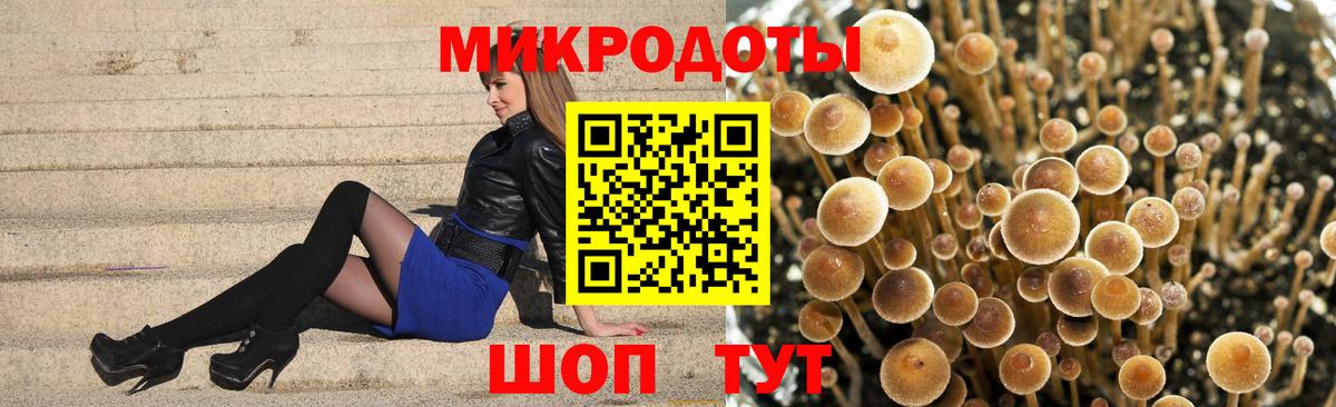 Галлюциногенные грибы Psilocybine cubensis  Вход с VPN  Тайшет 